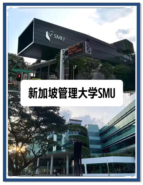 新加坡管理大学 知名度