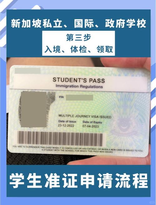 新加坡留学陪读要体检吗