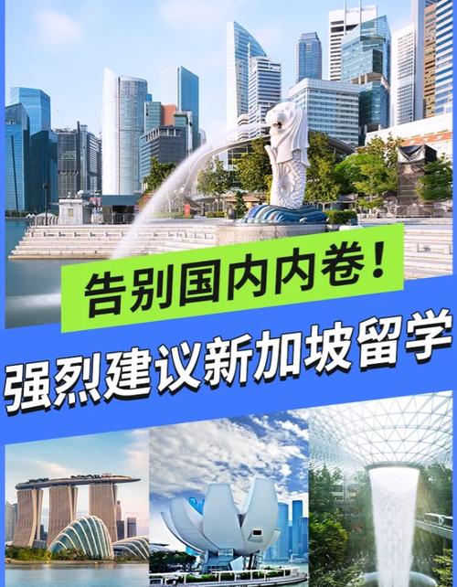 新加坡联系集出路15集