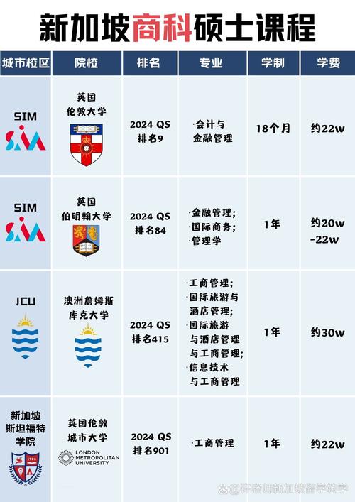 商业信息分析硕士新加坡