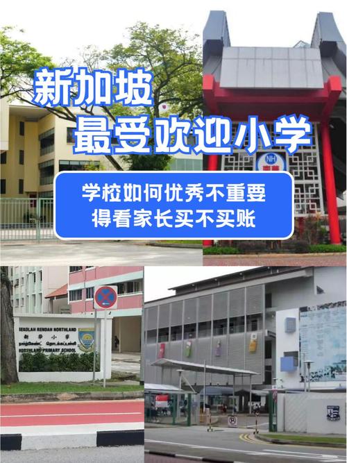 去新加坡上小学的利与弊