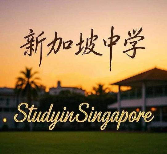 何时出去读新加坡高中好