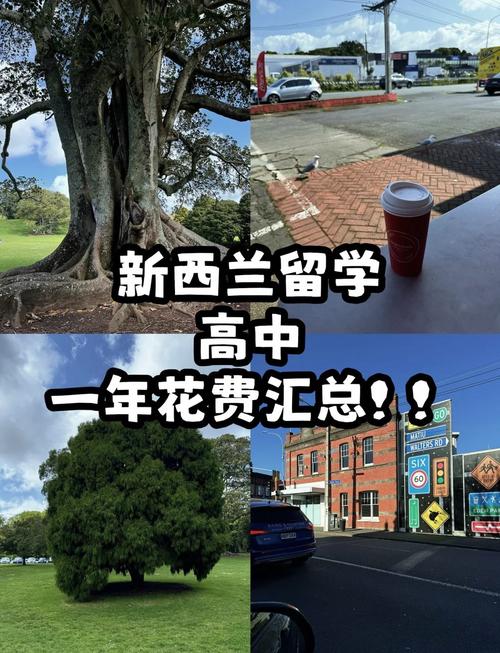 新西兰留学一年15万够吗