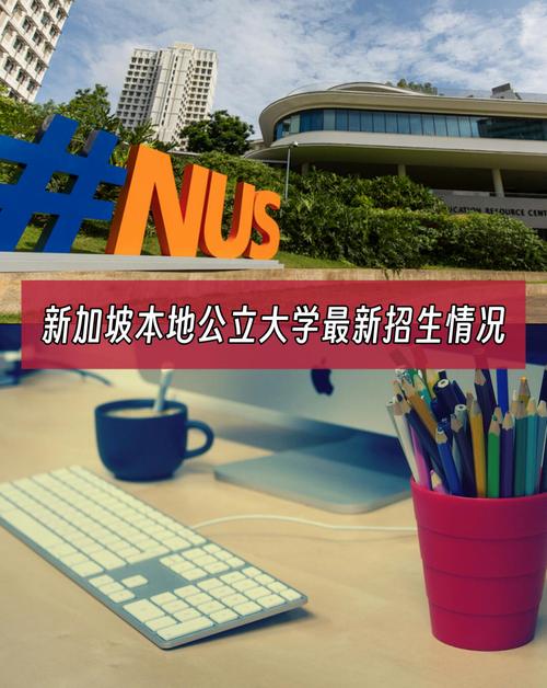 新加坡大学有翻译专业吗