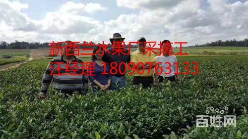 2025年新西兰劳务输出