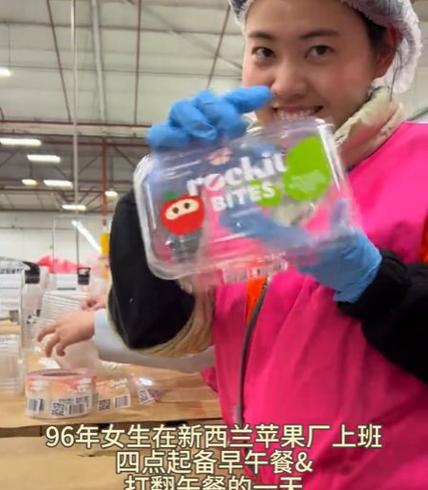 去新西兰打工需要什么条件