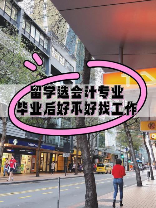 职业会计在新西兰的就业