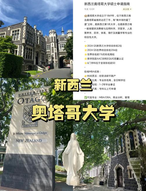 去新西兰可以学mba吗
