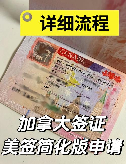 去加拿大签证怎么办理流程