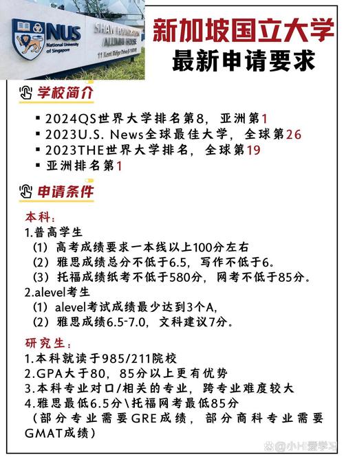 新加坡国立大学如果申请