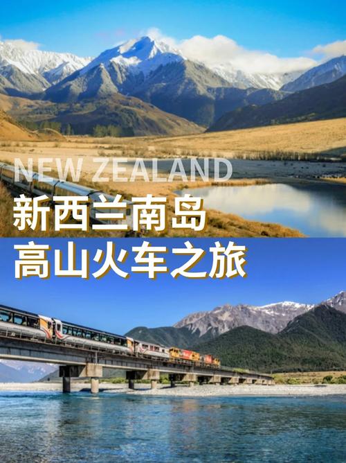 去新西兰读日常什么最贵