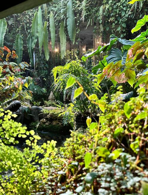 新加坡热带雨林形成原因