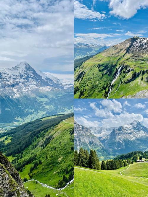 瑞士和新西兰的生态环保