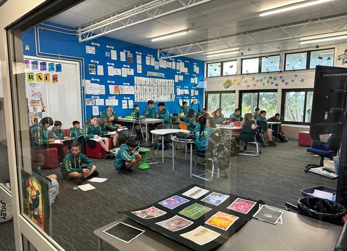 新西兰麦克林斯中学测试