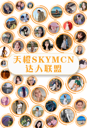 新西兰市场营销工资多少