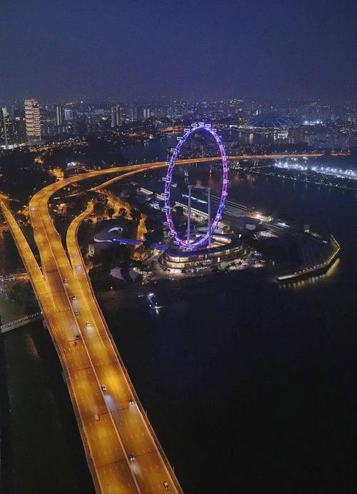 清华vs新加坡国立大学