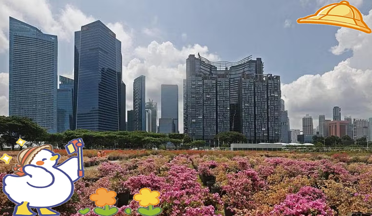 新加坡和澳洲环境哪个好