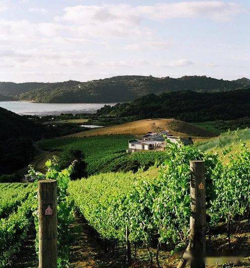 新西兰奥克兰葡萄酒产区