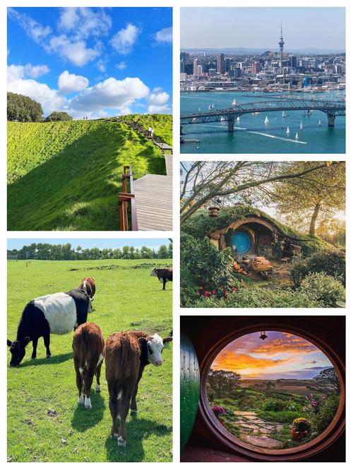 新西兰奥克兰葡萄酒产区