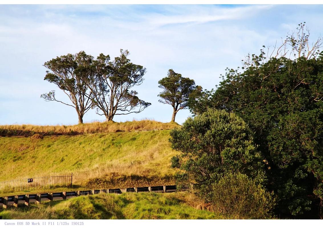 新西兰奥克兰葡萄酒产区