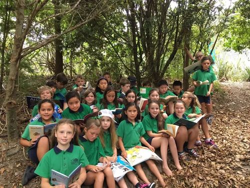 新西兰接受国际生的小学