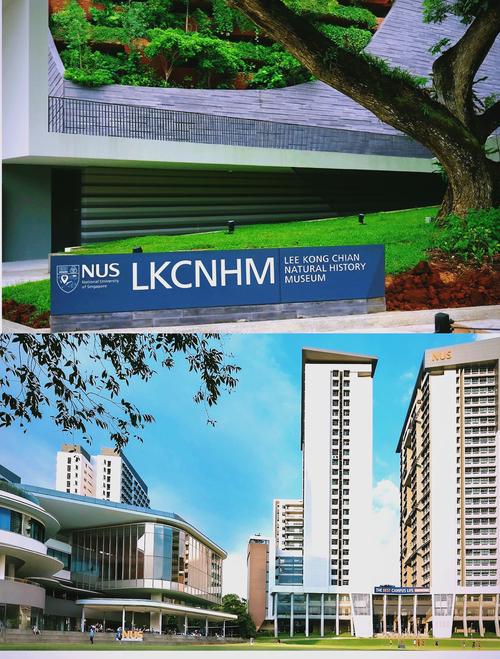 新加坡国立大学英国预科