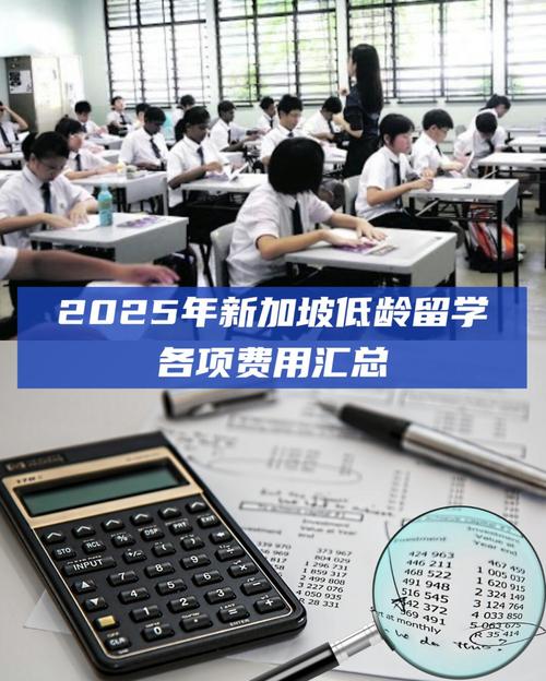 新加坡海外家庭学校学费
