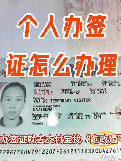 类似银蕨签证的工作签证