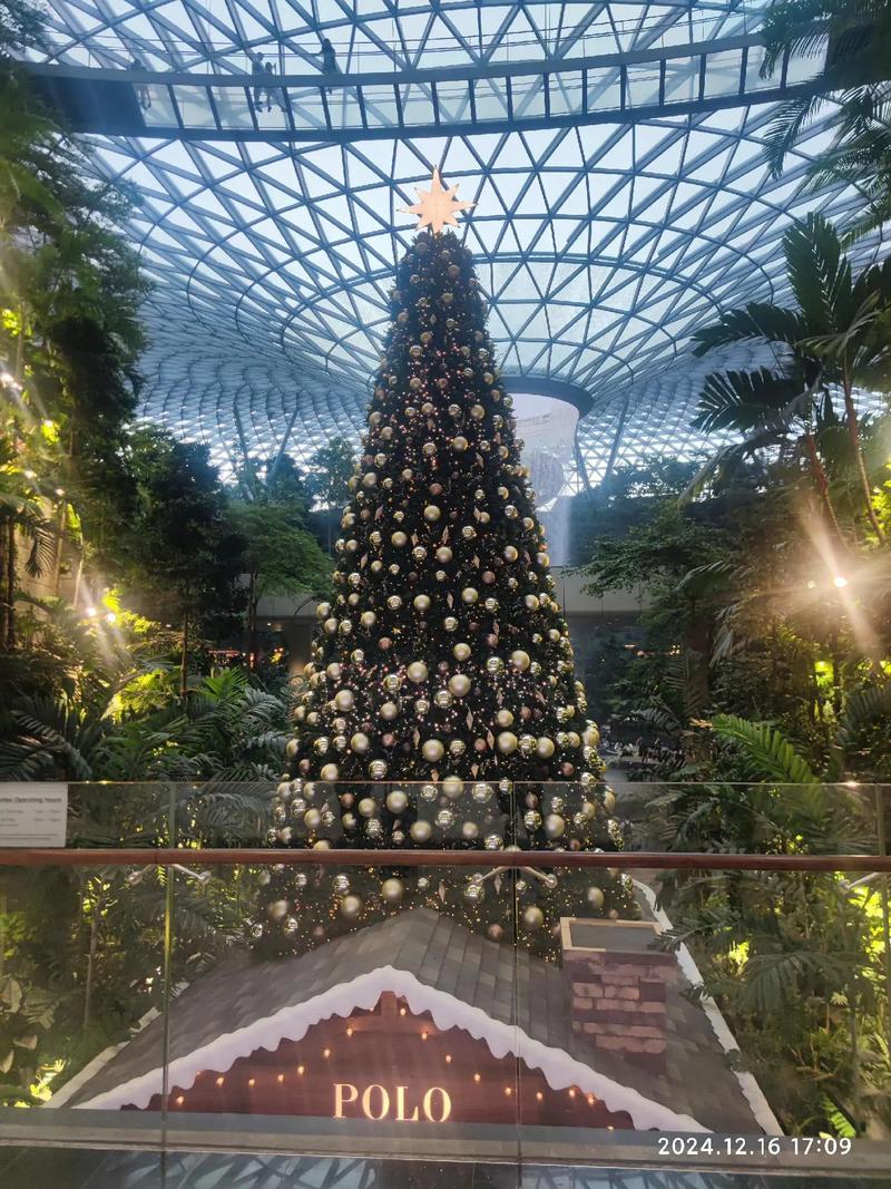 新加坡圣诞节假期 学生