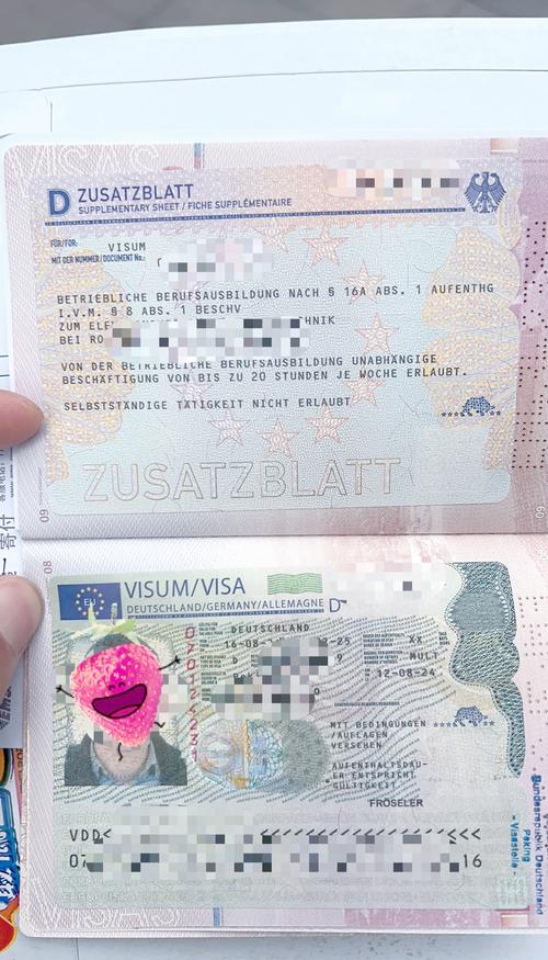 德国签证d类是学生签证