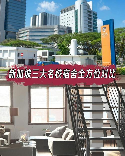 新加坡大学日常生活安排