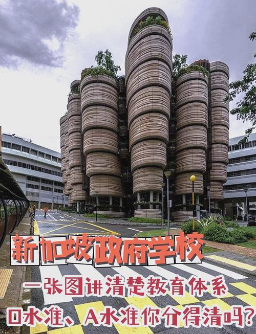 新加坡保护华语教育学校