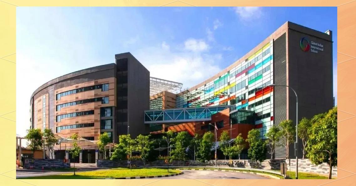 新加坡保护华语教育学校