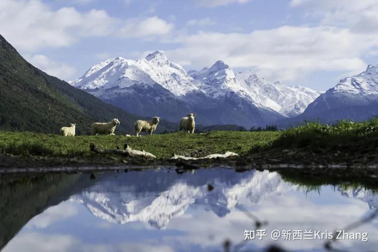 新西兰教育学院nzse