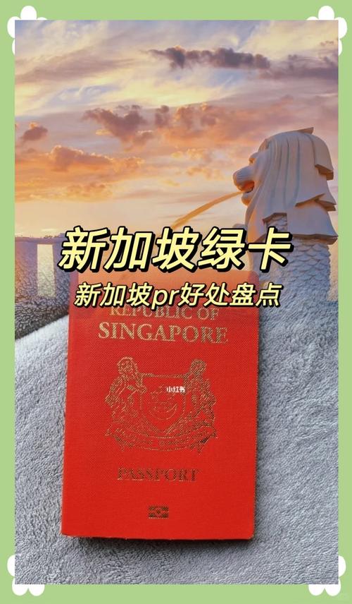 新加坡pr平均获得时间