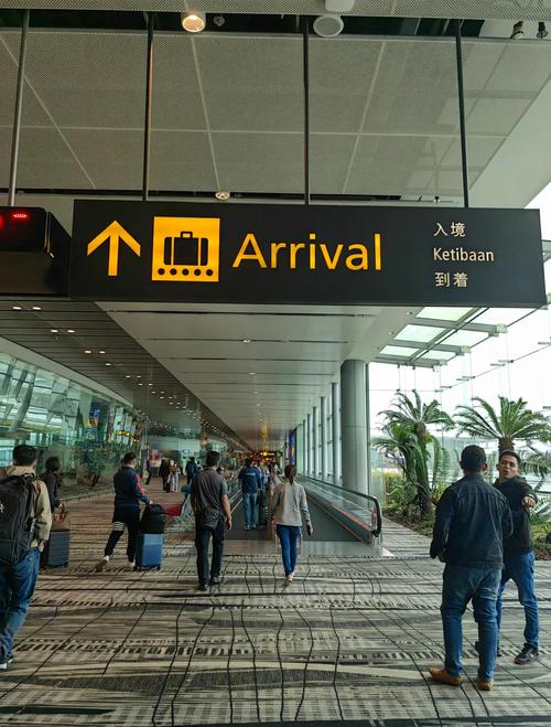 新加坡msc好找工作吗