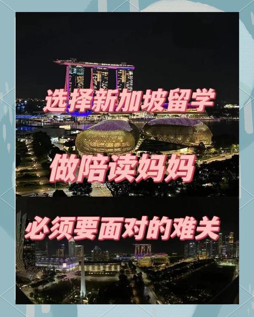 34岁的新加坡陪读妈妈