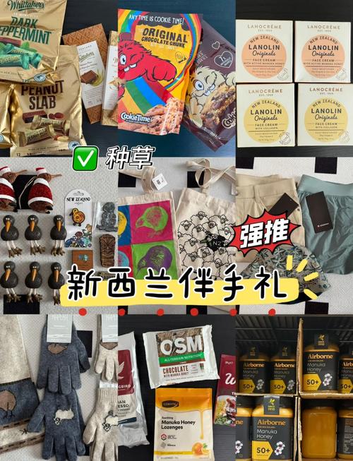 新西兰出国必带物品清单