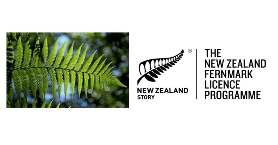 新西兰银蕨签证怎么付钱