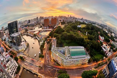 新加坡DP签证要学历吗