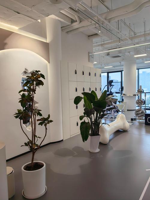 澳洲natti培训机构