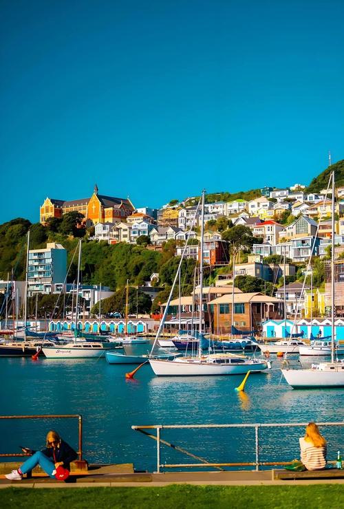 新西兰酒店管理好移民吗