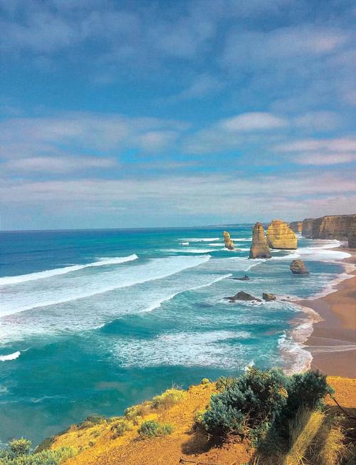 塔斯马尼亚 新西兰 美