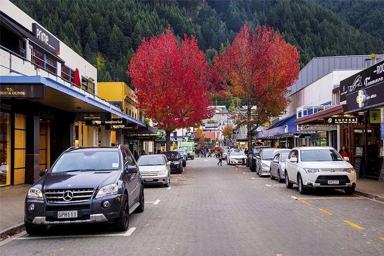 新西兰学生签证预签多久