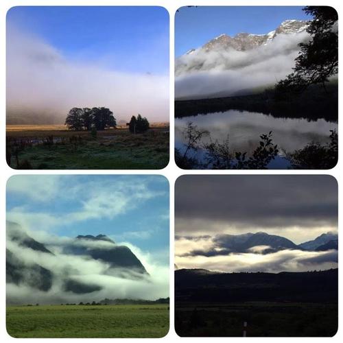 我眼中的新西兰阅读答案