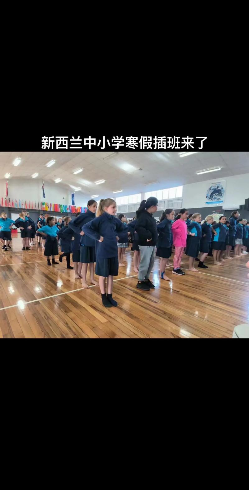新西兰小学微留学16年