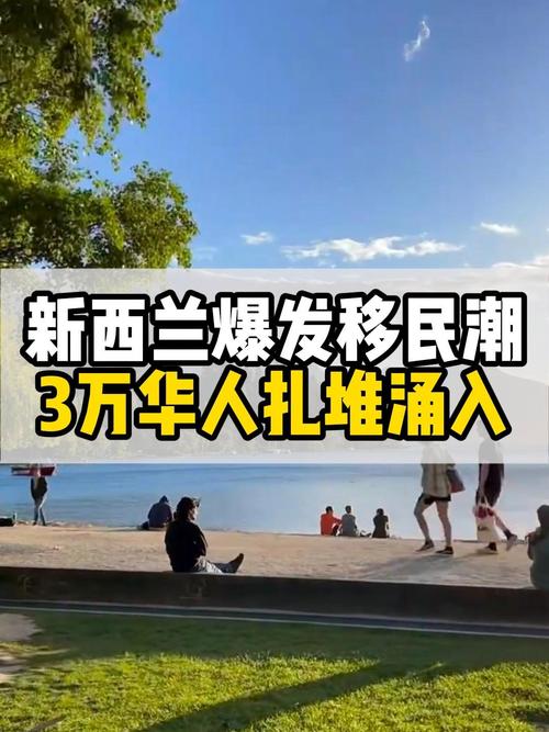 新西兰华人新移民找工作