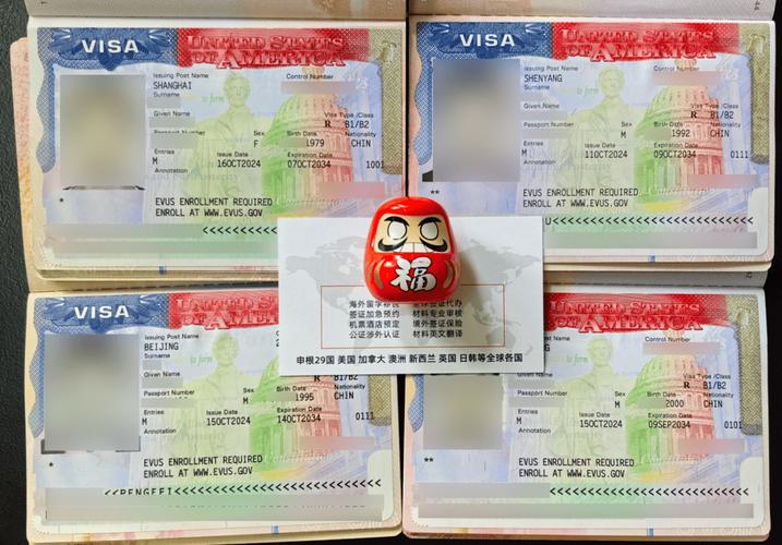 新加坡签证页上的签证号