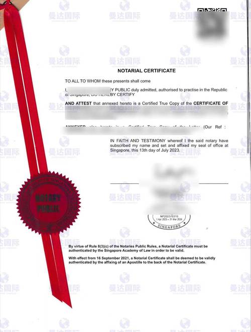 新加坡签证页上的签证号