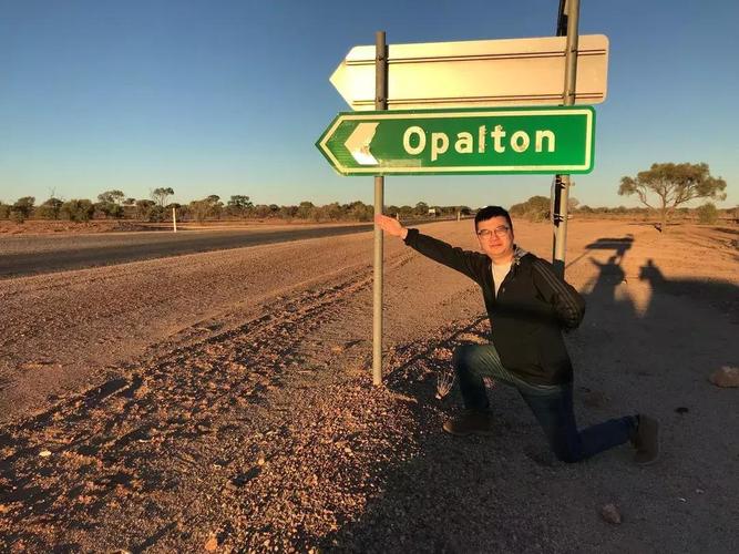 澳洲 op 成绩 查询